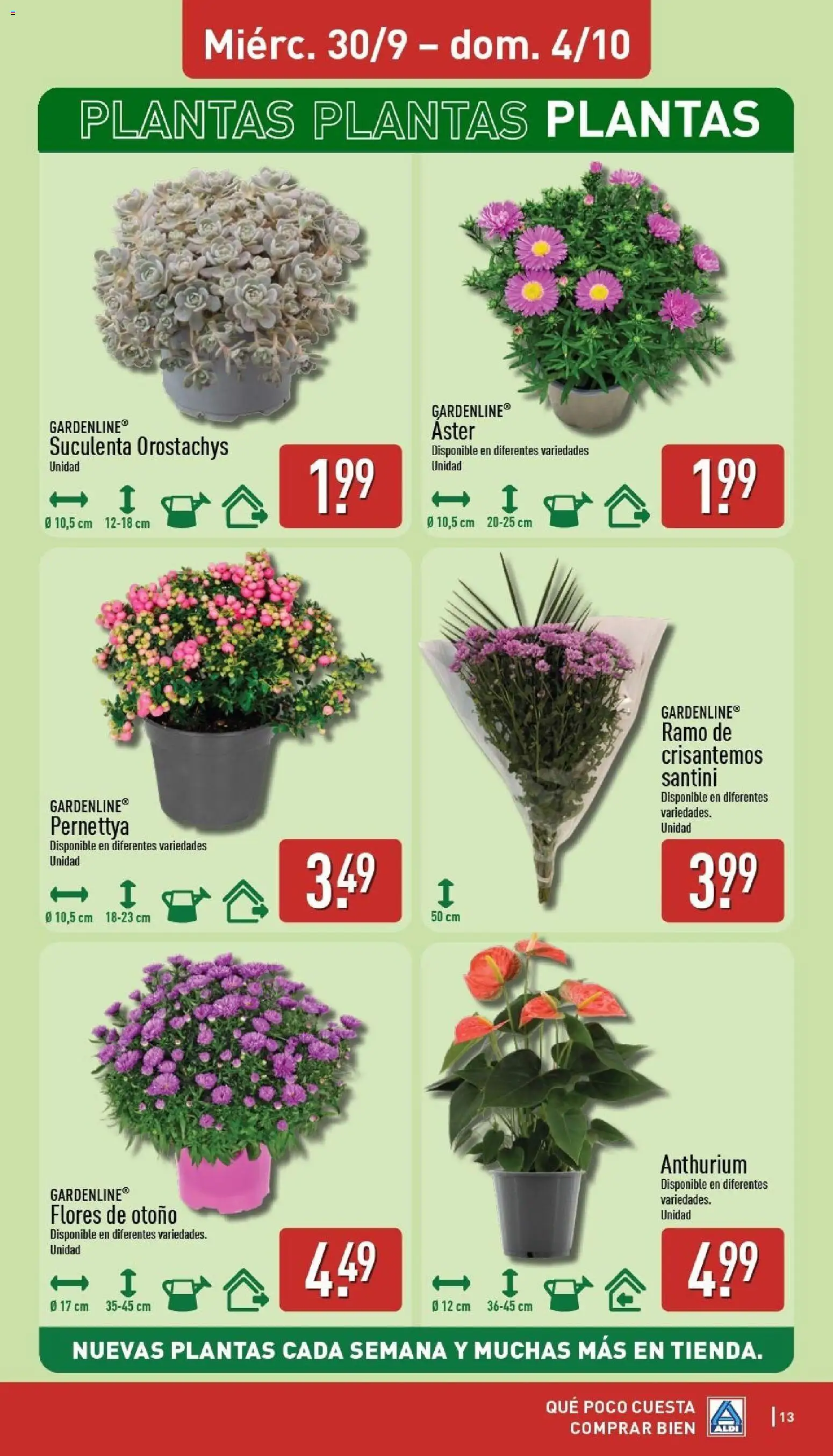 Aldi folleto Península │ válido desde el 28/09/2026 | Página: 13