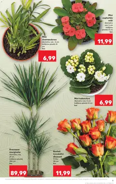 Kaufland RO akciós újság - amely érvényes a következő dátumtól: 17.06.2026 | Oldal: 9