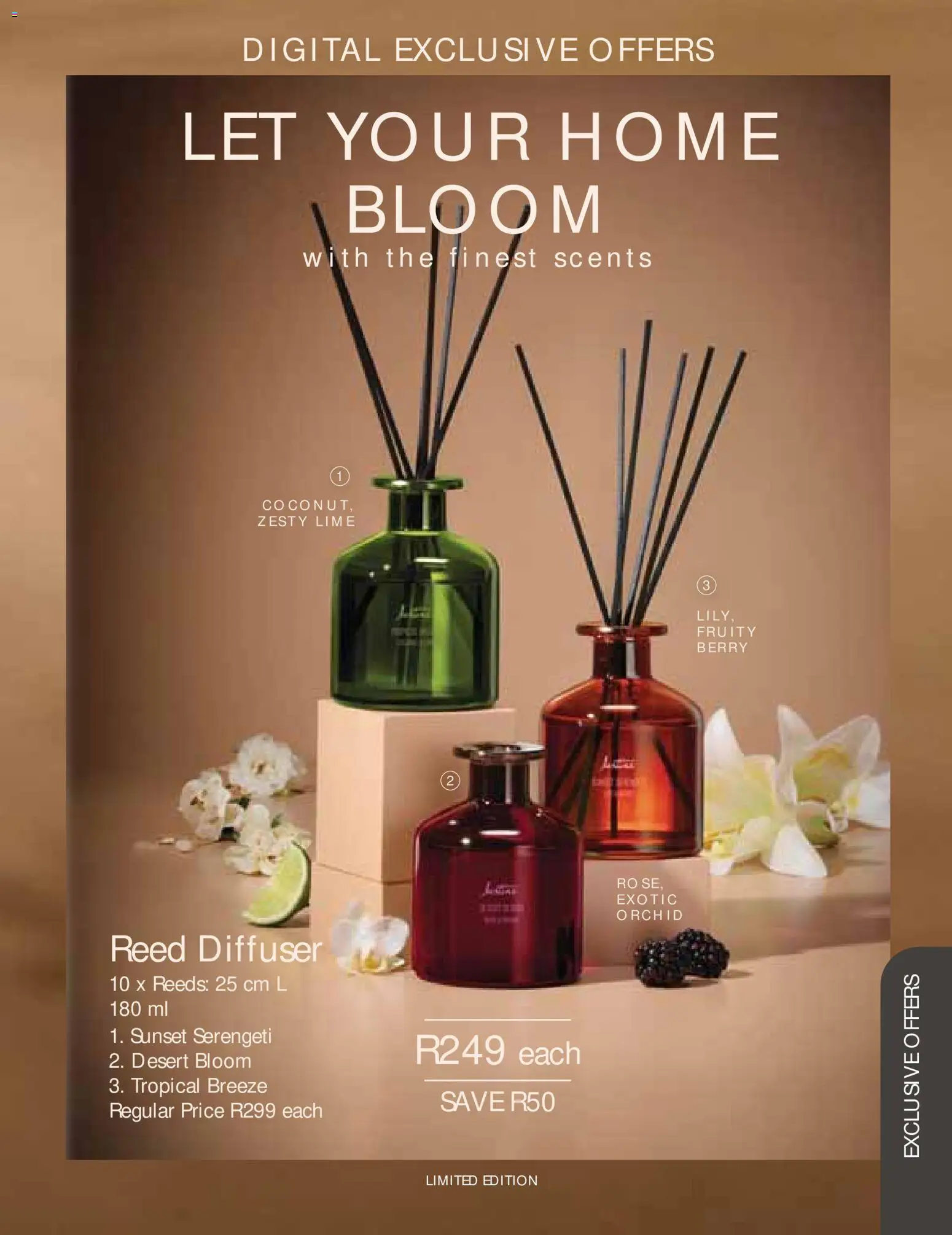 New Justine catalogue – valid from 01/09/2026 | Page: 23