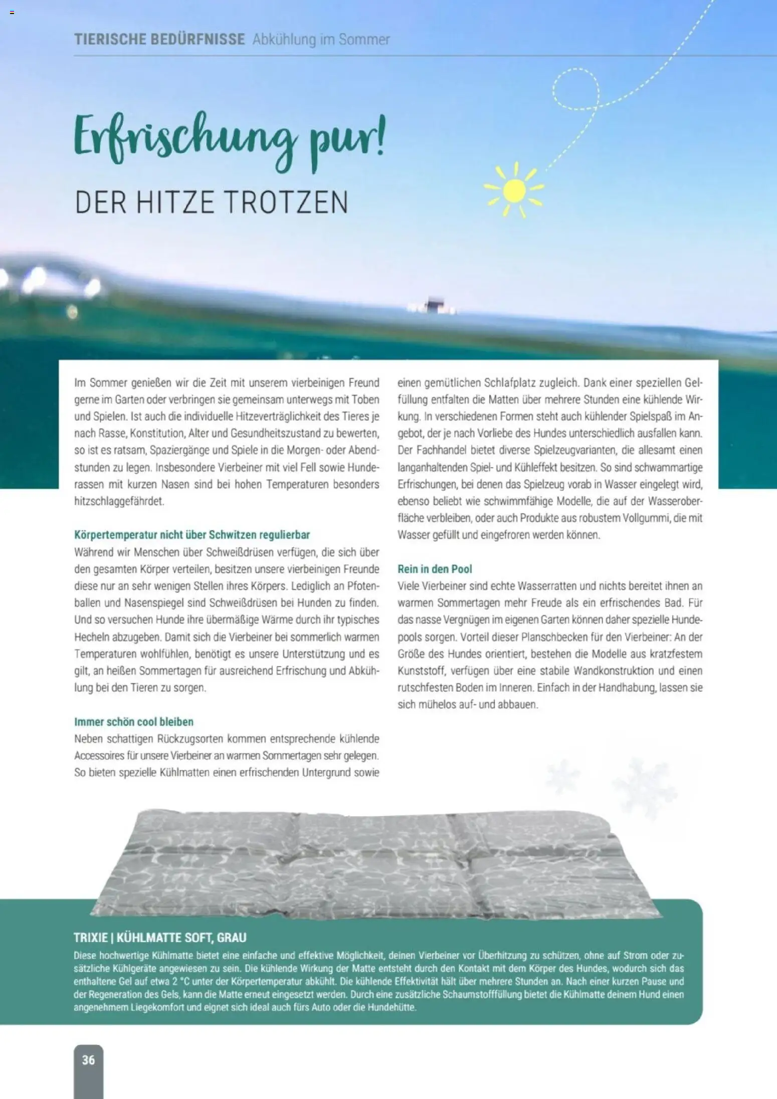 zookauf Themenkatalog Hund – gültig ab 18.05.2026 | Seite: 36 | Produkte: Spiel, Wasser