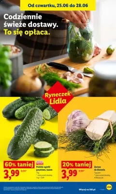 Pogląd oferty "Polskie ogórki gruntowe, luzem, Polskie ogórki gruntowe, luzem" - ważna od 25.06.2026 | Strona: 37 | Produkty: Ogórki