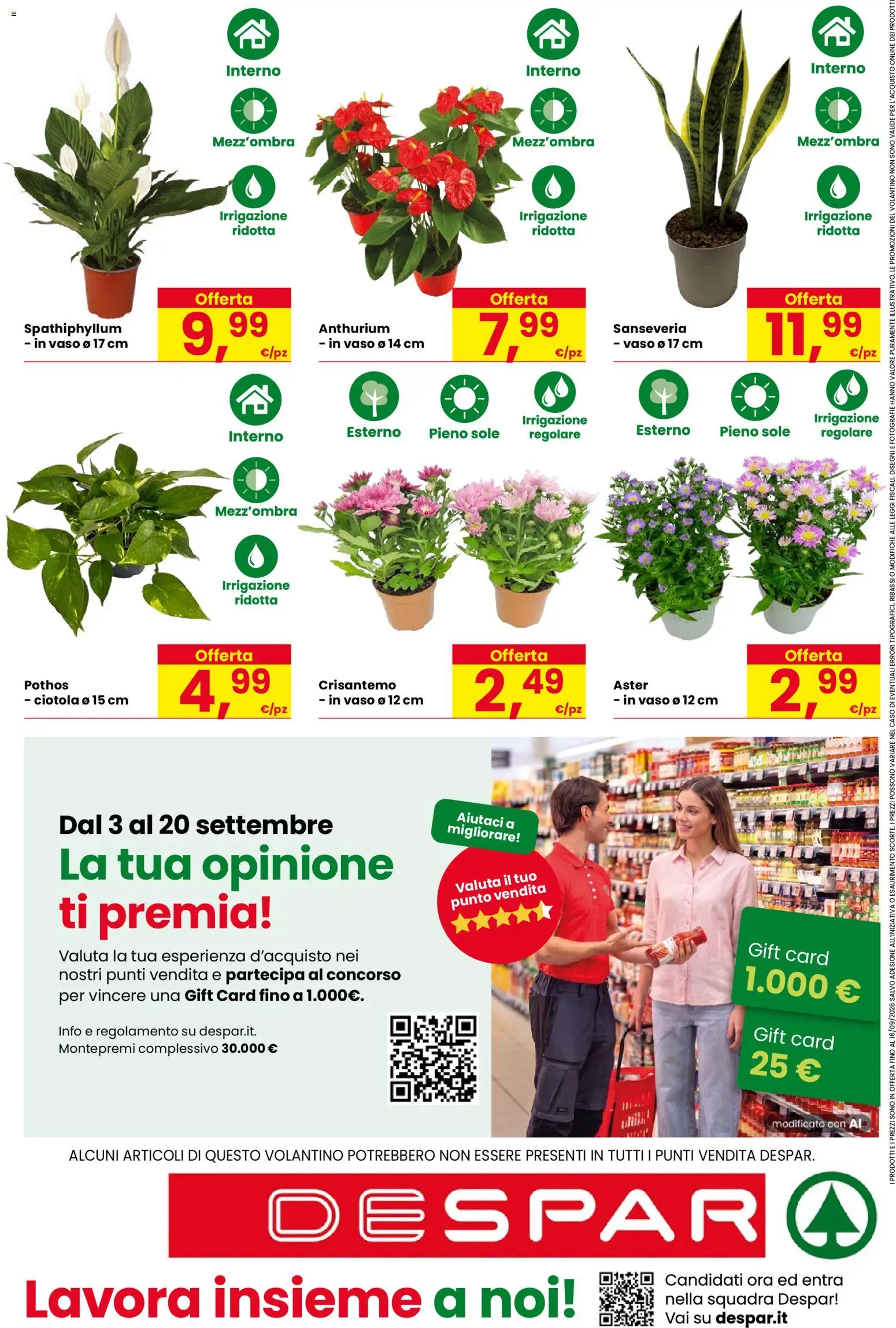 Volantino Despar del 03/09/2026 | Pagina: 16 | Prodotti: Ciotola, Vaso