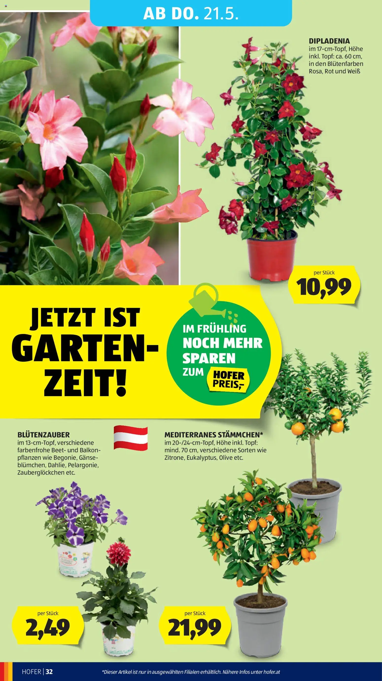 Hofer Flugblatt gültig ab 15.05.2026 | Seite: 38