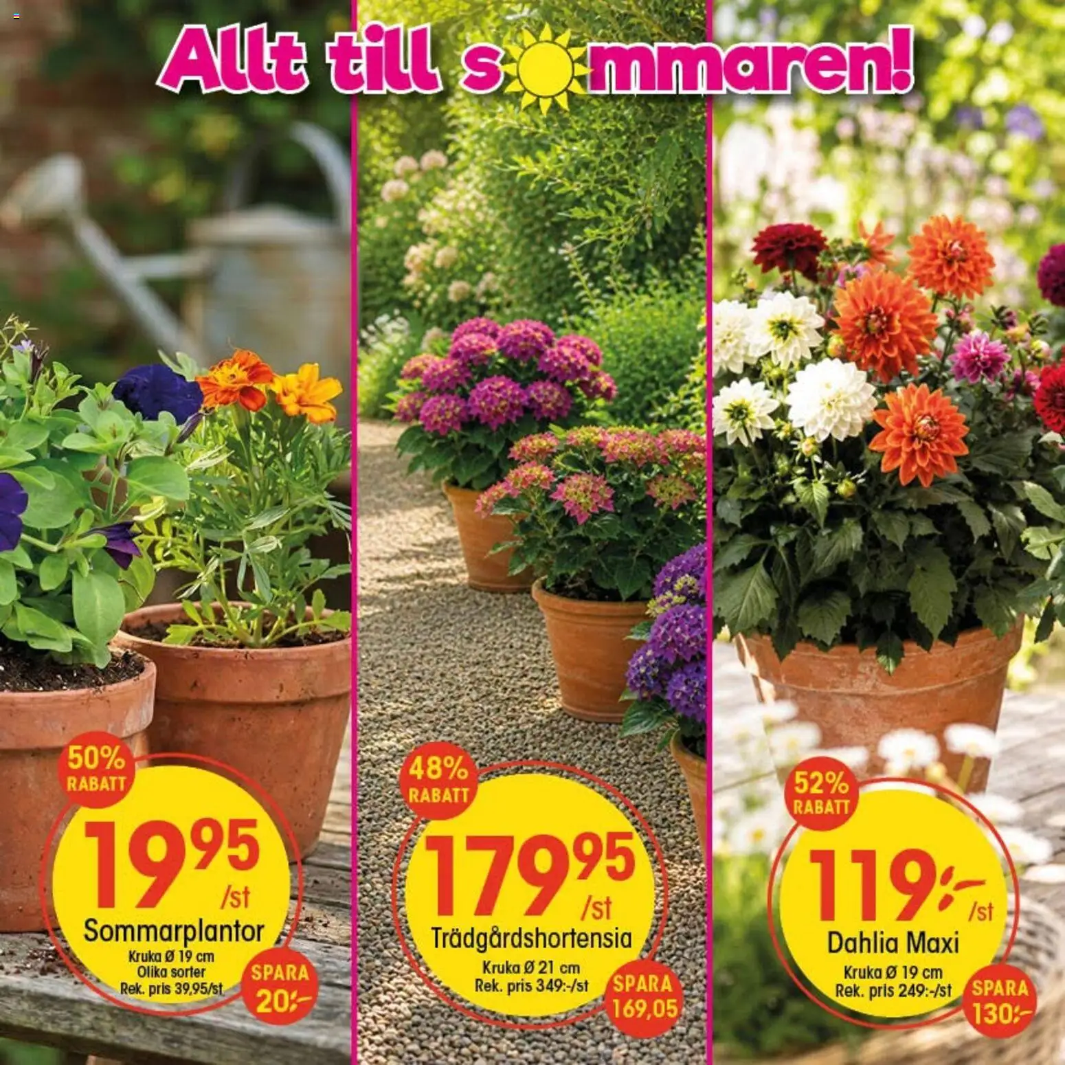 EKO reklamblad aktuell från 29/06/2026 | Sida: 3