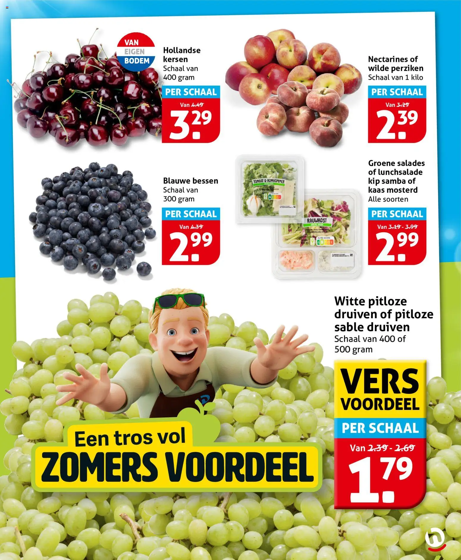 {H1} | Pagina: 9 | Producten: Komkommer, Kaas, Salades, Kip