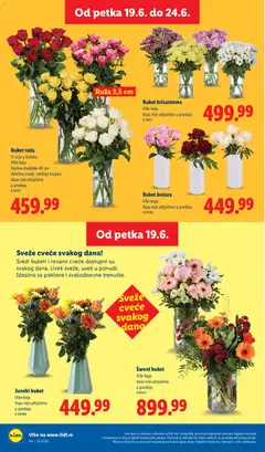 Buket hrizantema, Više boja, Vaza nije uključena u prodaju, # 78211 - pregled Lidl kataloga - važi od 18.06.2026 | Strana: 70