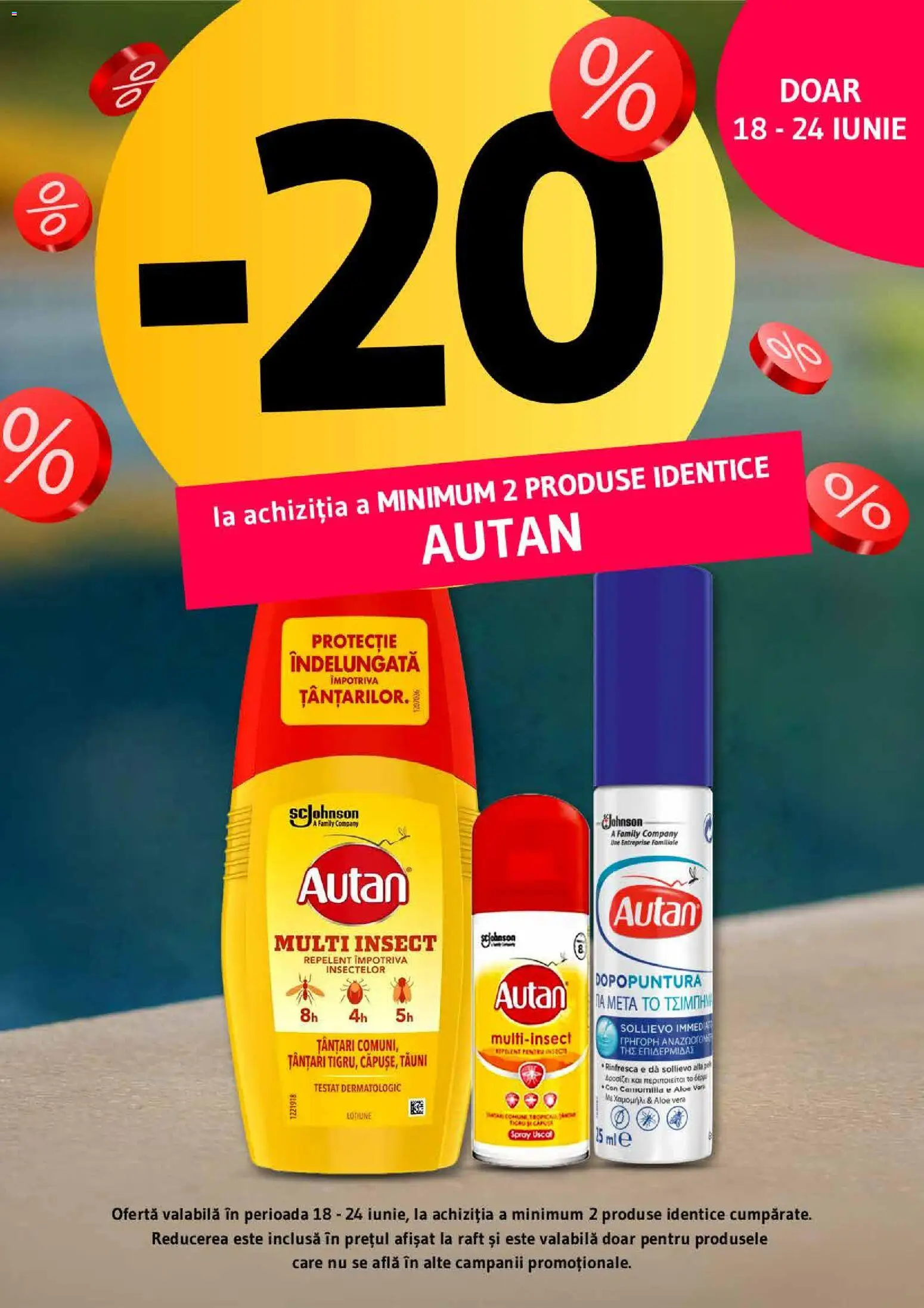 Noul catalog Supeco – valabil de la 11.06.2026 | Pagină: 4 | Produse: Aloe vera, Raft