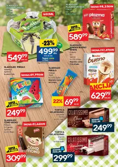 Roda katalog - pregled Roda kataloga - važi od 02.07.2026 | Strana: 13 | Proizvode: Mango, Plazma, So, Lubenica