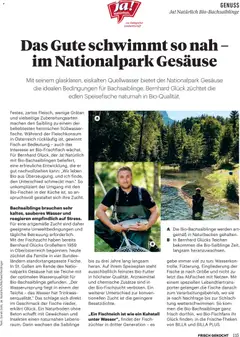 Billa Frisch Gekocht ab 01.06.2026 gültig | Seite: 111