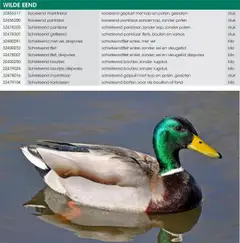 Hanos - Wildbrochure 2025/2026 - Voorbeeld van een folder van Hanos, geldig van 05.10.2025 | Pagina: 19