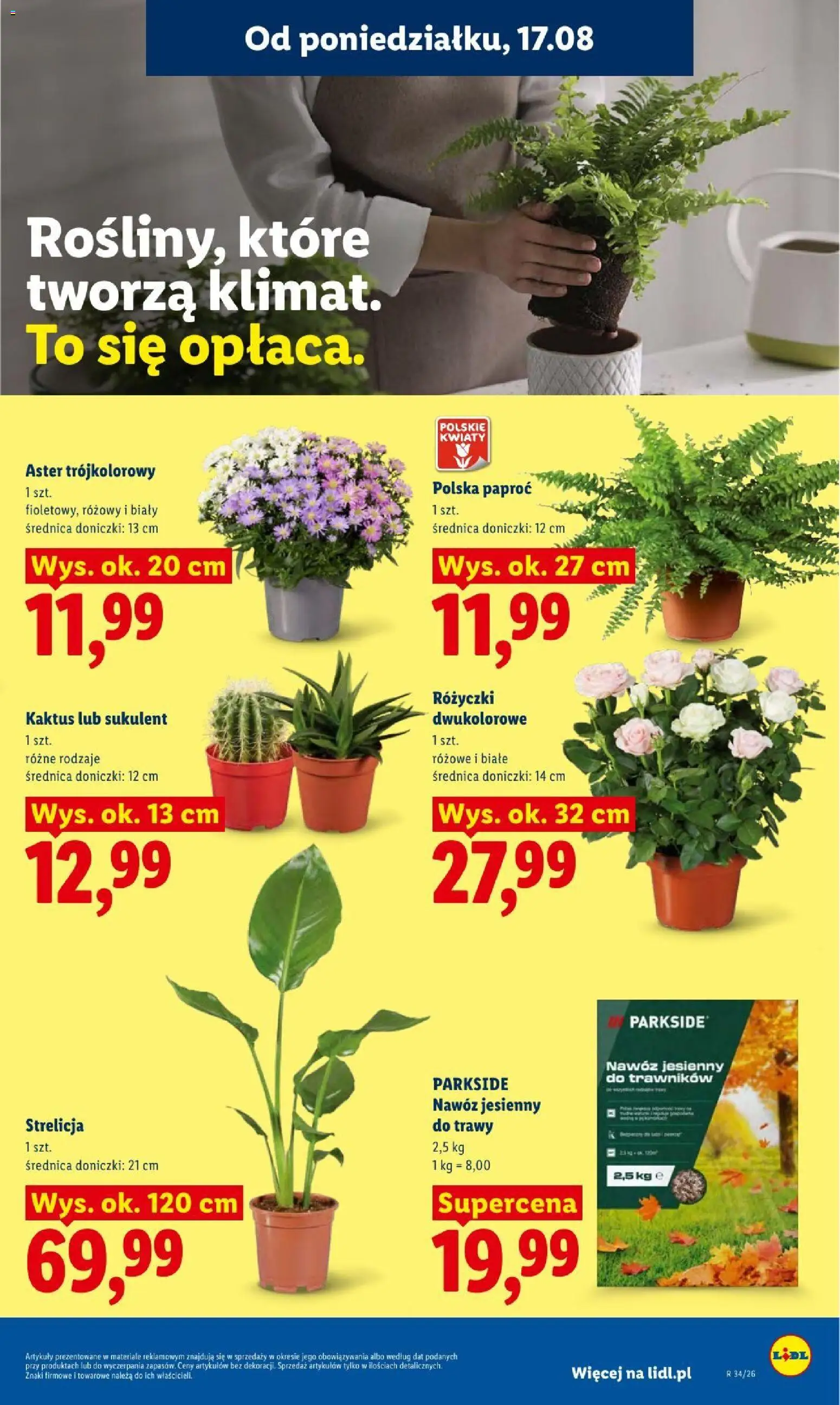Lidl gazetka od 17.08.2026 | Strona: 77
