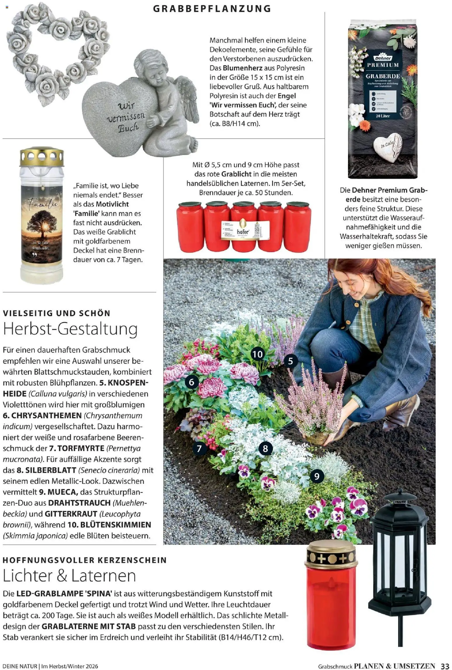 Dehner Prospekt – gültig ab 09.10.2026 | Seite: 33