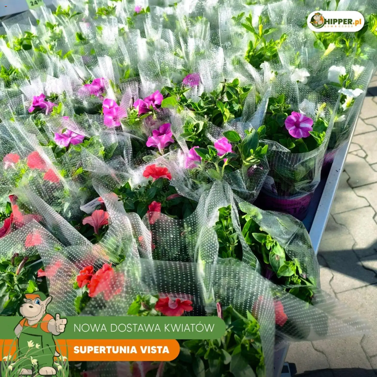 Hipper gazetka od 01.05.2026 | Strona: 5