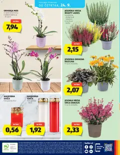 Hofer katalog akcije – veljaven od 16.09.2026 | Stran: 28