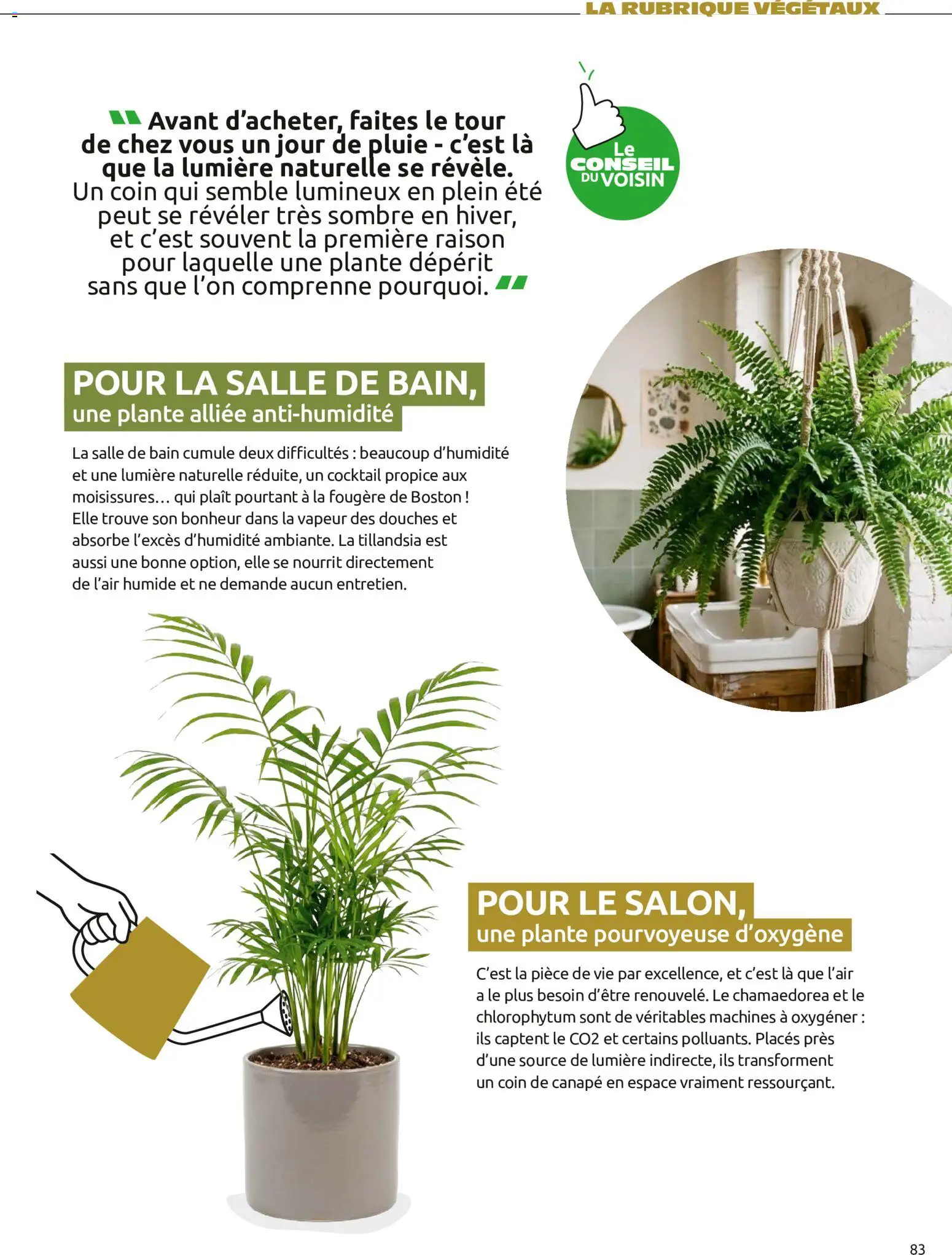 {H1} | Page: 83 | Produits: Canapé, Cocktail