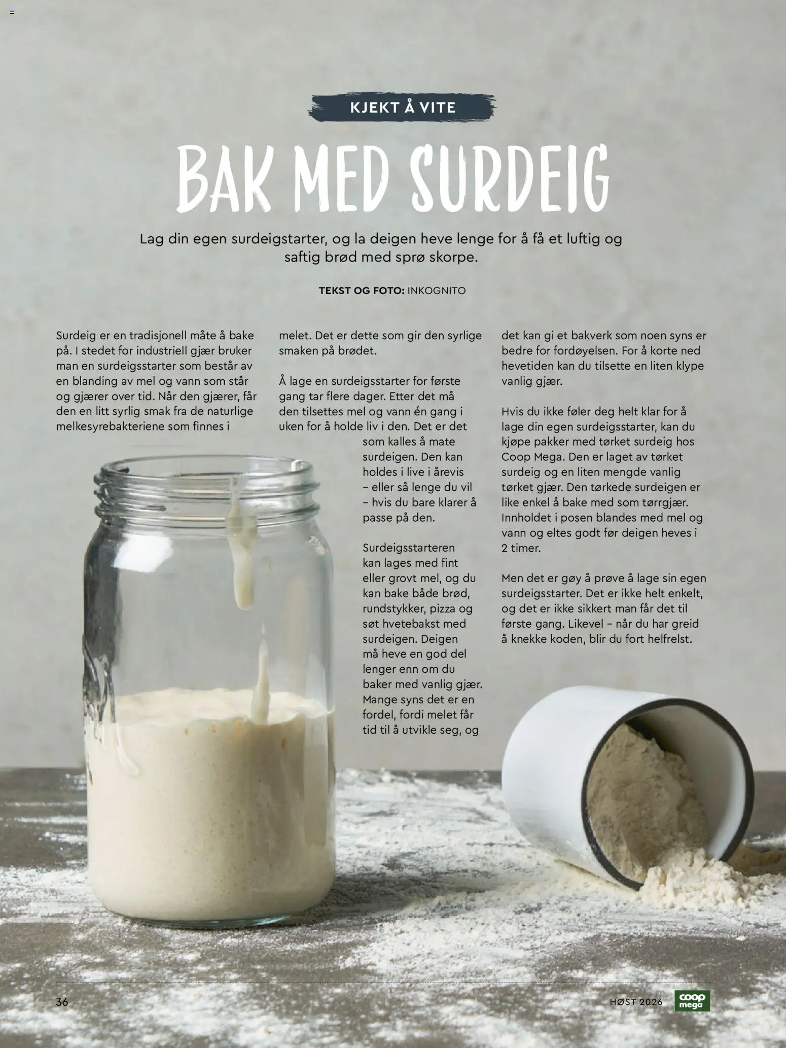 {H1} | Side: 36 | Produkter: Surdeigsstarter, Brød, Mel, Gjær