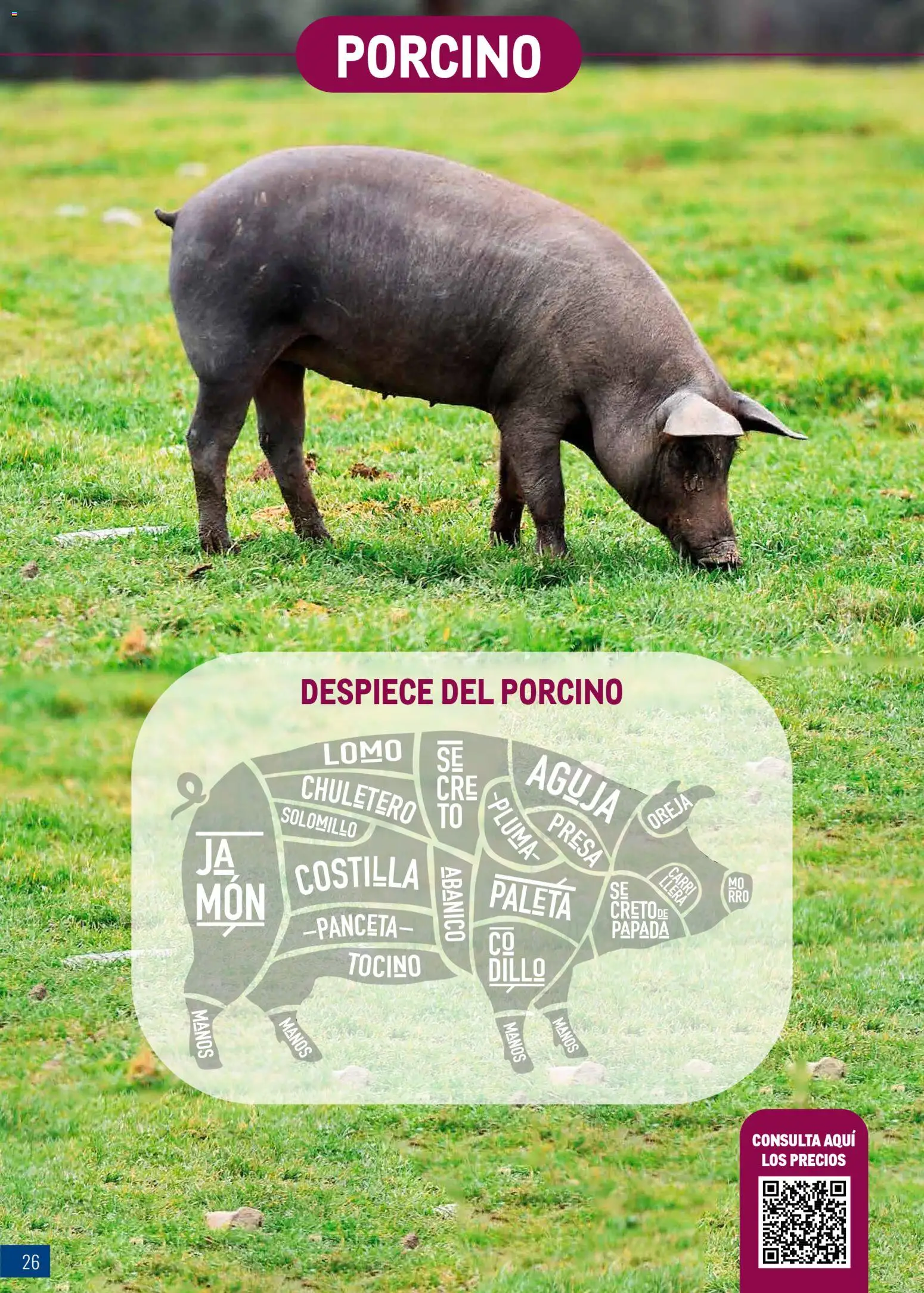 Makro - Expertos en carnes │ válido desde el 09.03.2026 | Página: 26 | Productos: Ηλεκτρικός φούρνος