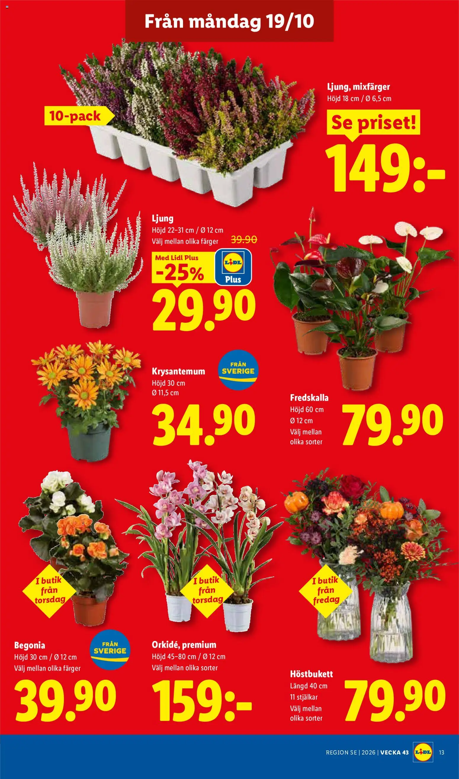 Lidl reklamblad aktuell från 19/10/2026 | Sida: 16