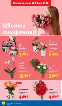 Преглед на Лидл Cедмична брошура - Офертите са валидни от 28.09.2026 | Страница: 48