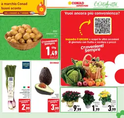 Anteprima del volantino AVOCADO CONAD, confezione 550 g valido a partire dal 06.05.2026 | Pagina: 11 | Prodotti: Avocado, Patate, Frutta, Vaso