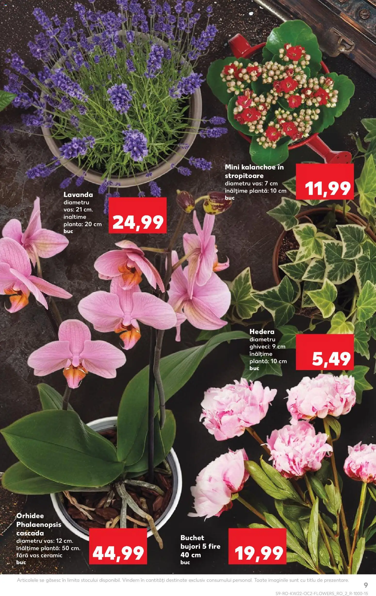 Kaufland RO akciós ujság - amely érvényes a következő dátumtól: 27.05.2026 | Oldal: 9
