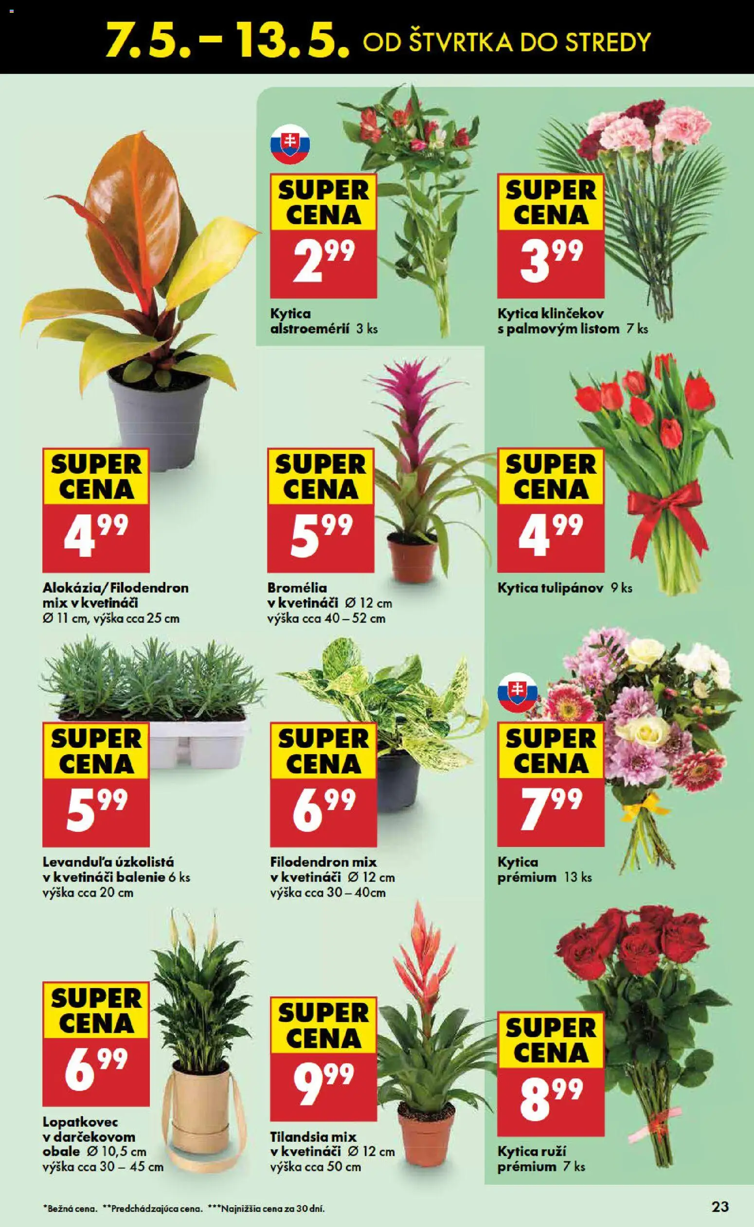 Nové Biedronka akcie – leták je platný od 07.05.2026 | Strana: 23 | Produkty: Kvetináč