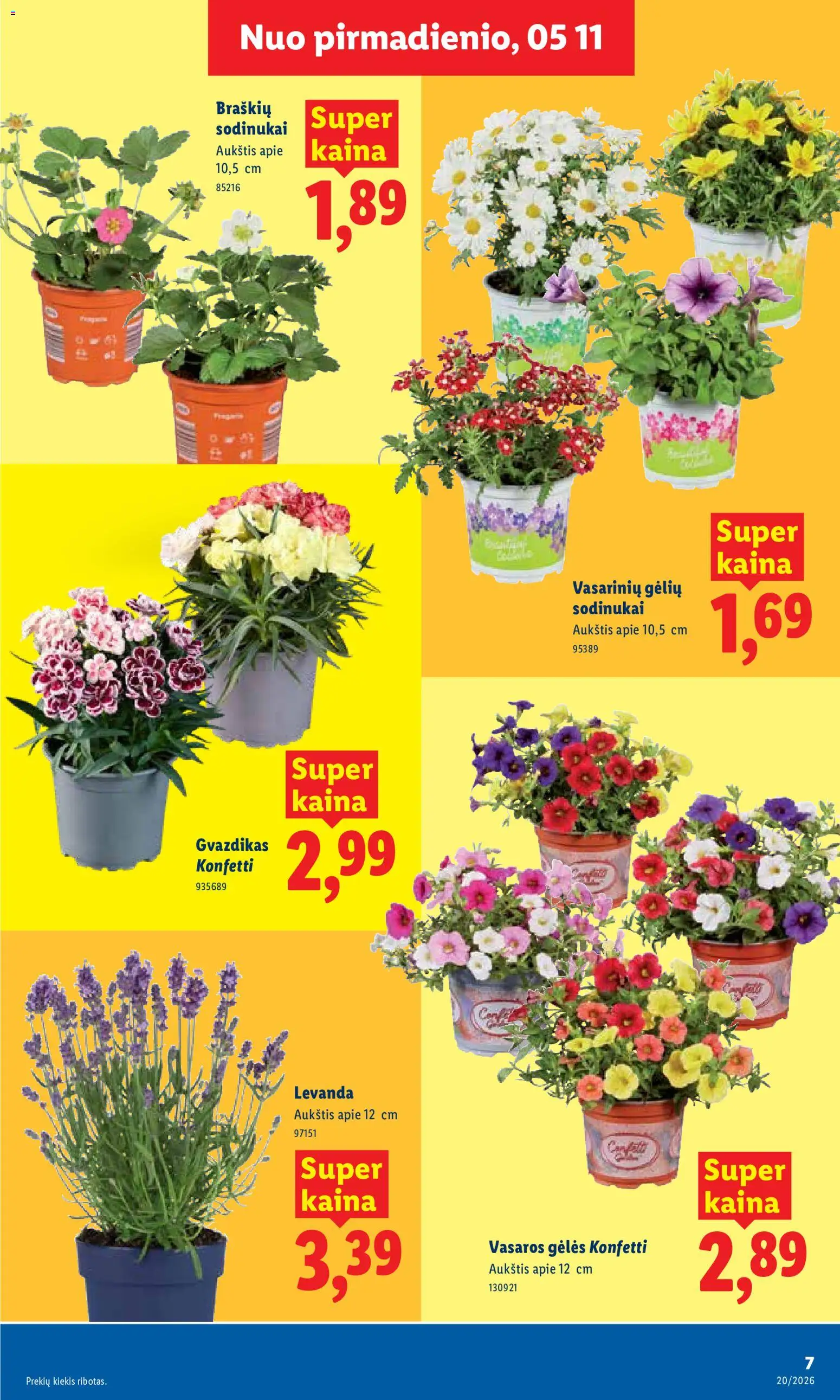LIDL akcijos nuo 11.05.2026 | Puslapis: 7