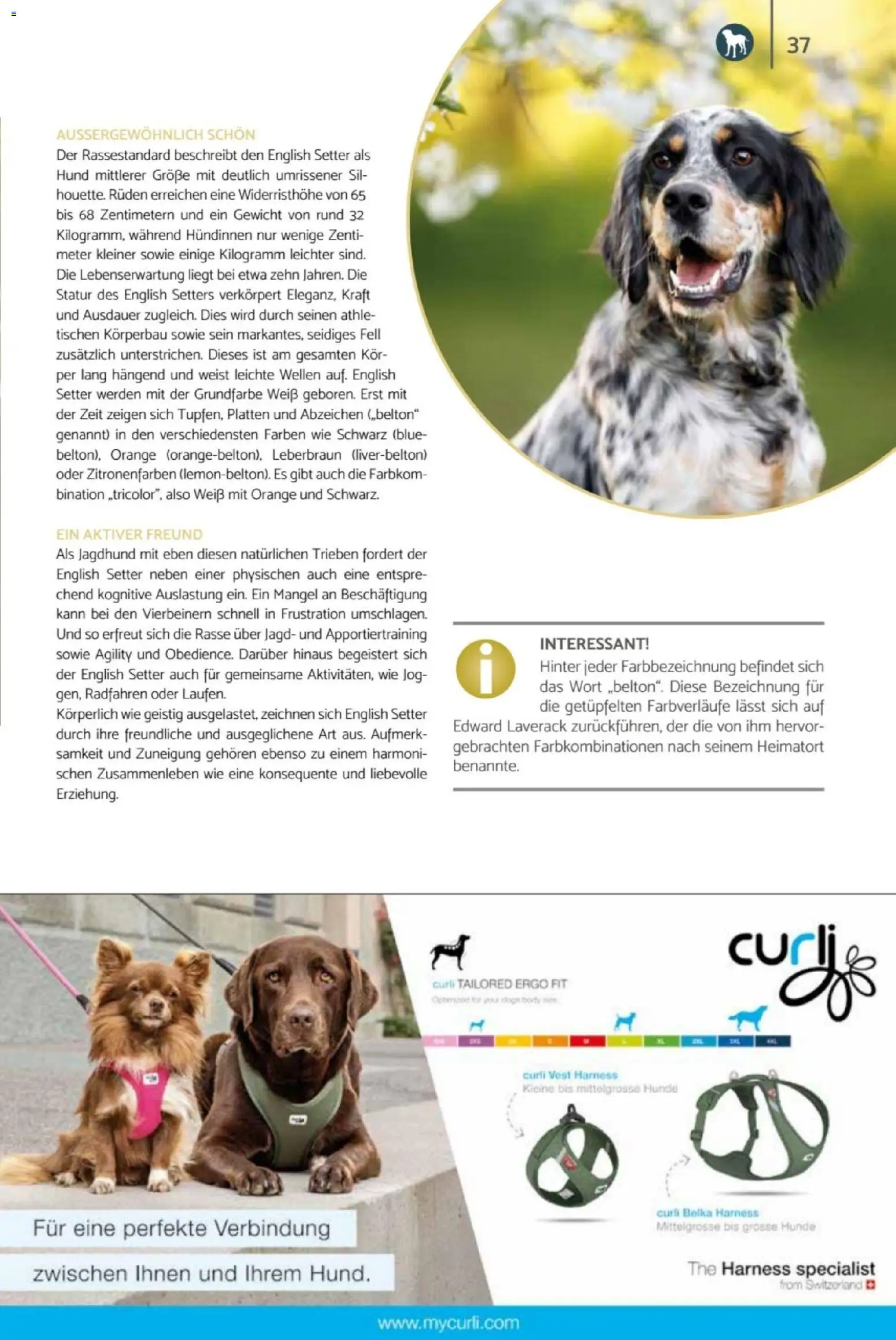zookauf Heimtier Journal – gültig ab 01.07.2026 | Seite: 37 | Produkte: Gewicht