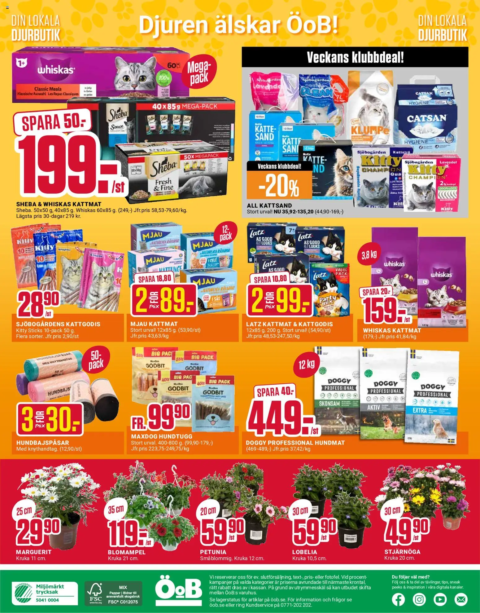ÖoB reklamblad aktuell från 11.05.2026 | Sida: 12 | Produkter: Lavendel, Stjärnöga, Kruka, Hundmat