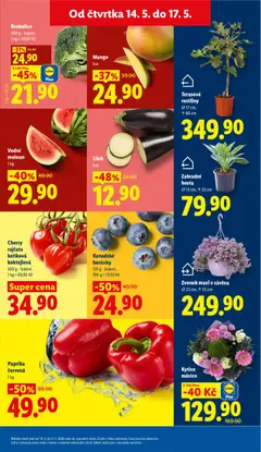 Náhled letáku Terasové rostliny, Ø17 cm, ↑ 60 cm od 14.05.2026 | Strana: 11 | Produkty: Meloun, Borůvky, Brokolice, Paprika