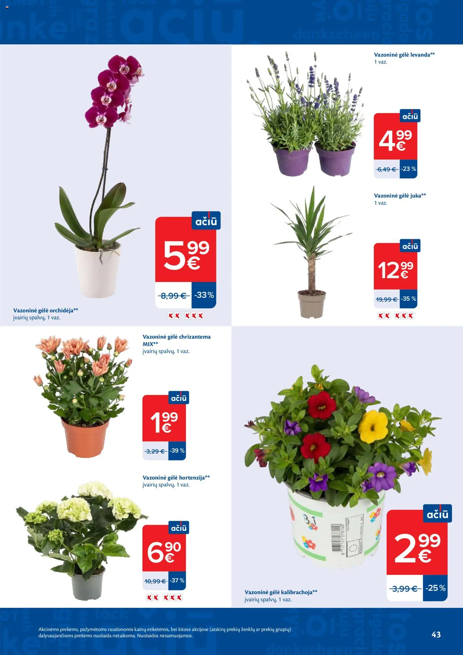 MAXIMA akcijos nuo 09.06.2026 | Puslapis: 43