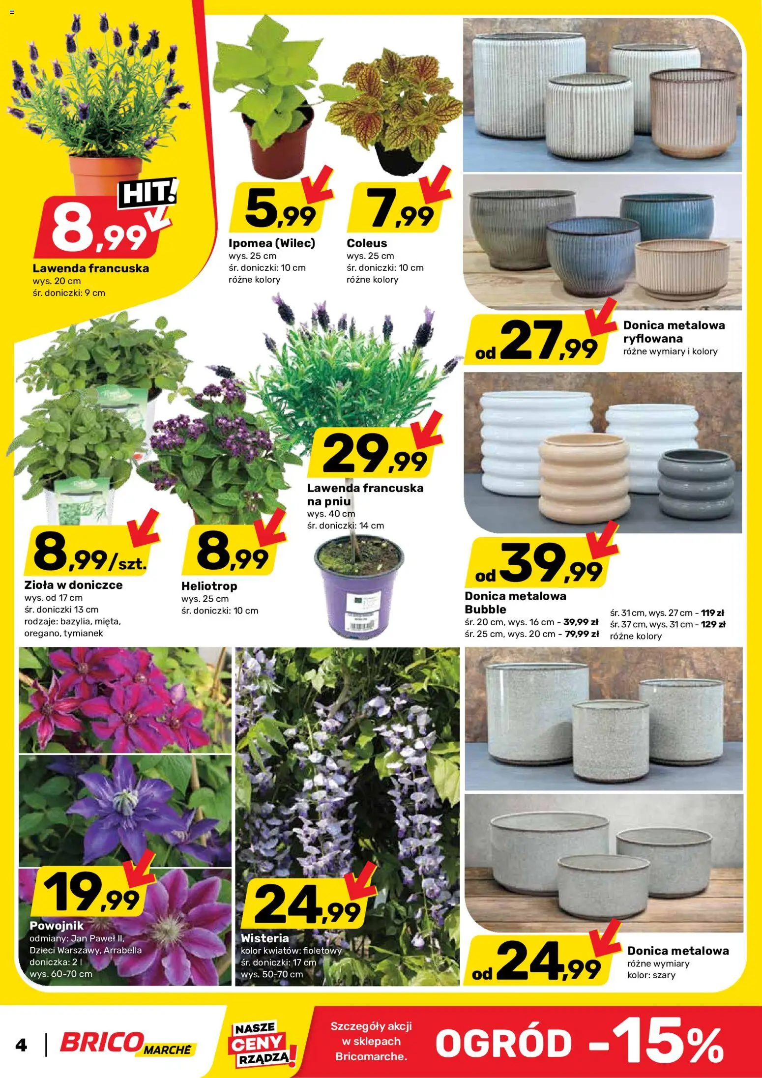 Brico Marché gazetka od 06.05.2026 | Strona: 4 | Produkty: Tymianek, Doniczka, Doniczki