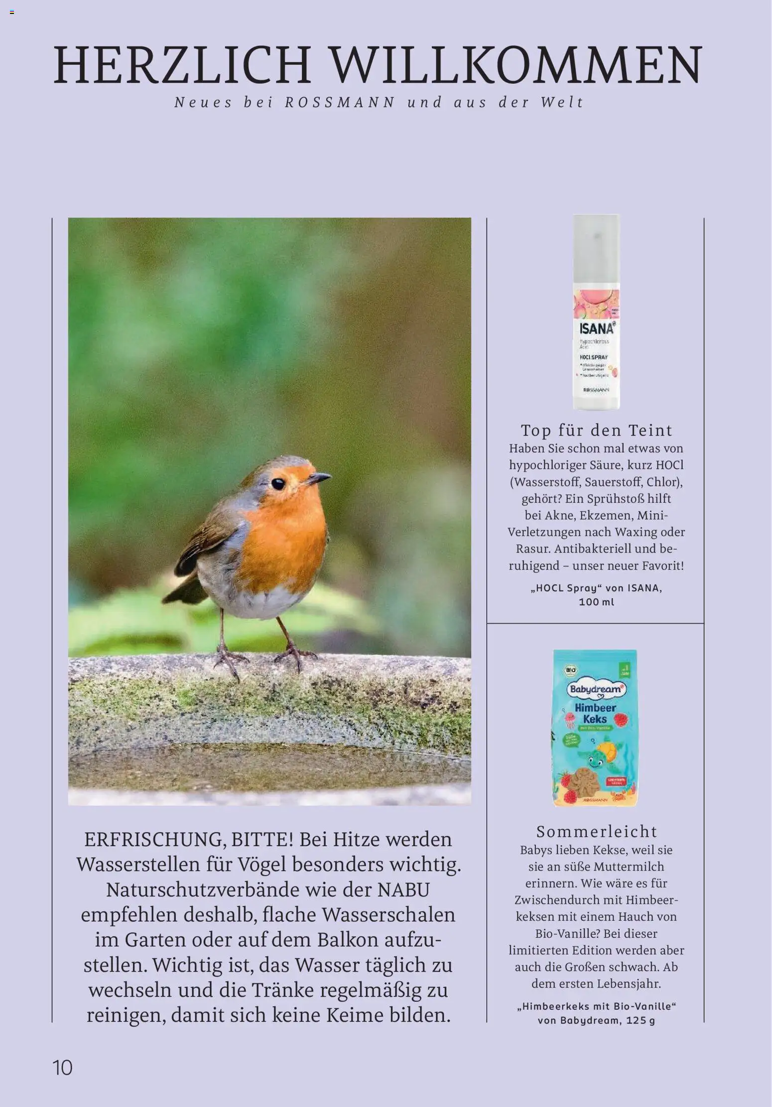 Rossmann Centaur – gültig ab 01.06.2026 | Seite: 10 | Produkte: Top, Wasser