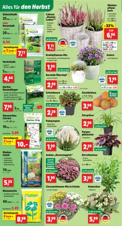 Thomas Philipps Prospekt ab 28.09.2026 gültig | Seite: 2 | Produkte: Korb, Blumen, Blumenerde