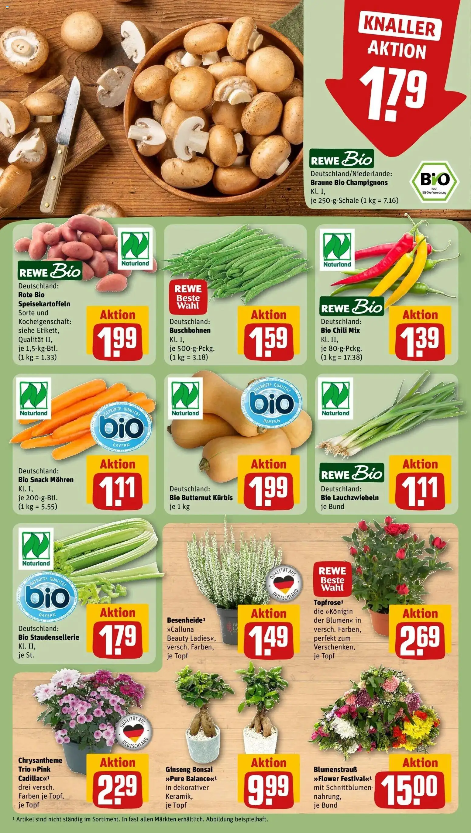 REWE Prospekt ab 31.08.2026 zum Blättern » Angebote | Seite: 7 | Produkte: Mohren, Champignons, Chili, Kürbis