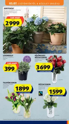 KÜLÖNLEGES RÓZSACSOKOR, különböző színekben - amely érvényes a következő dátumtól: 07.05.2026 | Oldal: 33