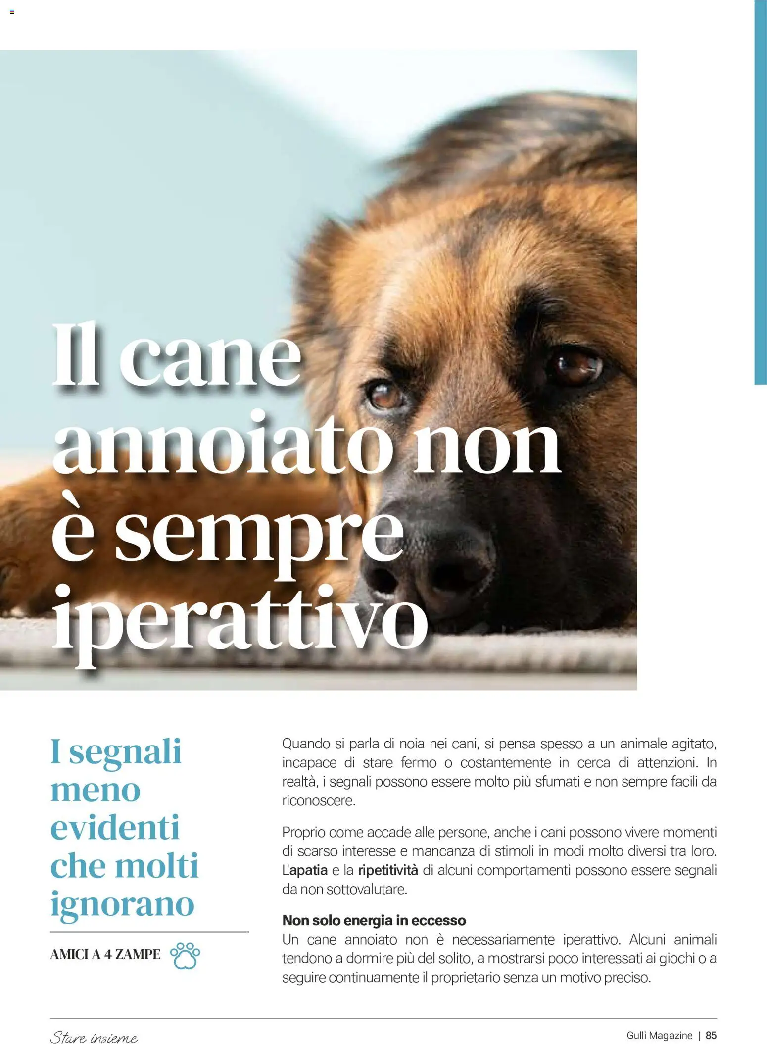 Volantino Gulliver del 01/07/2026 | Pagina: 84