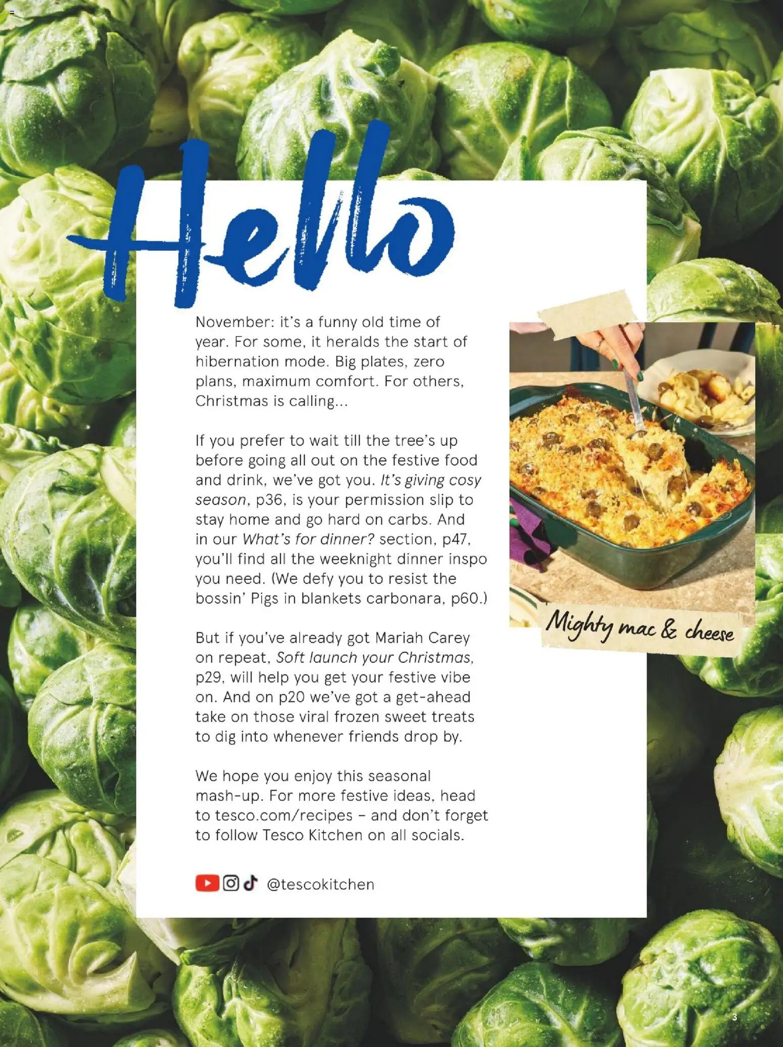 {H1} | Page: 3