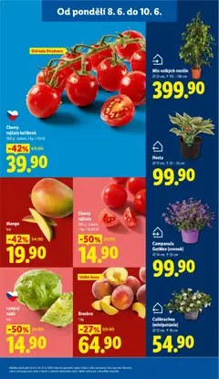 Náhled letáku Cherry rajčata keříková, 300 g - balení od 08.06.2026 | Strana: 13