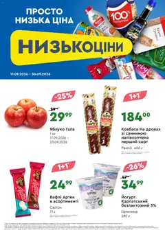Novus акції дійснийкції з 17.09.2026 | Сторінка: 3 | Товари: Вафлі, Пельмені, Корсет, Йогурт