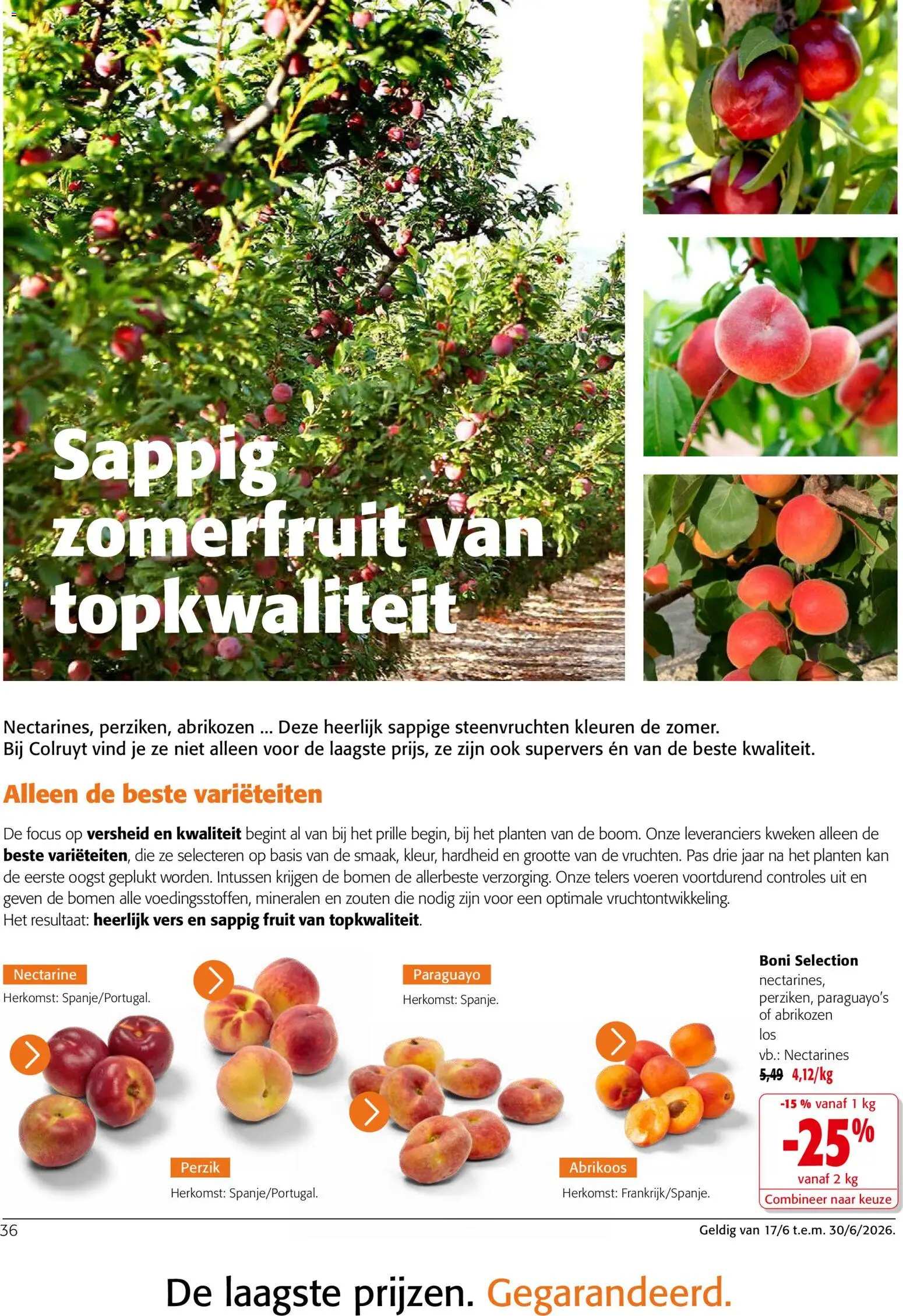 {H1} | Pagina: 36 | Producten: Fruit, Abrikoos, Kan