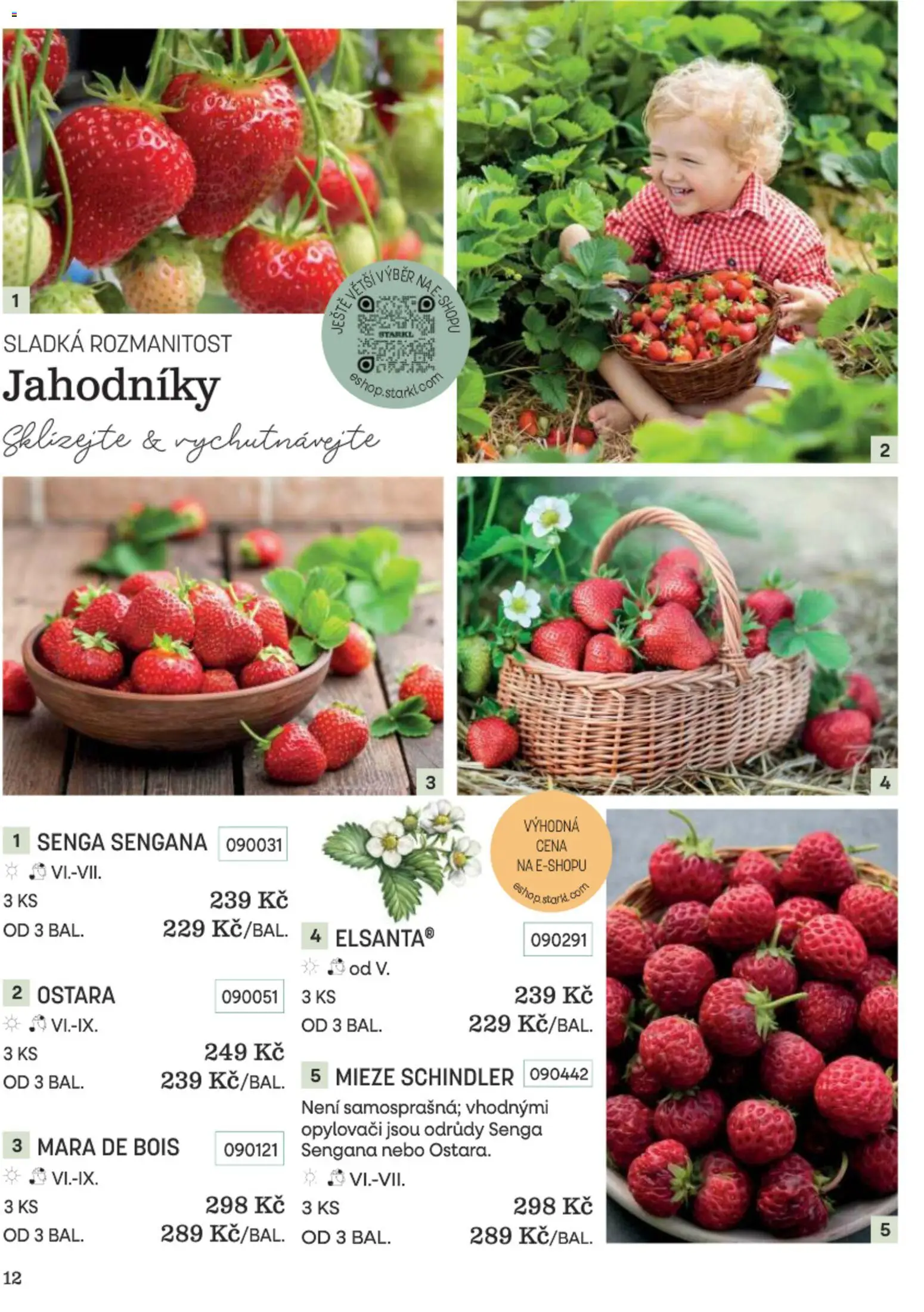 Starkl katalog Podzim 2026 od 01.09.2026 | Strana: 12