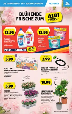 Aldi aktionen ab 21.05.2026 gültig | Seite: 13