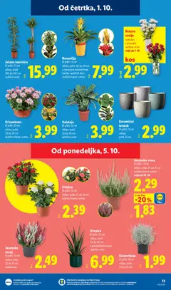 Lidl katalog akcije – veljaven od 01.10.2026 | Stran: 21