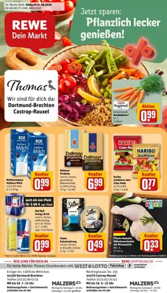 Rewe Prospekt Castrop-Rauxel ab 24.08.2026 gültig