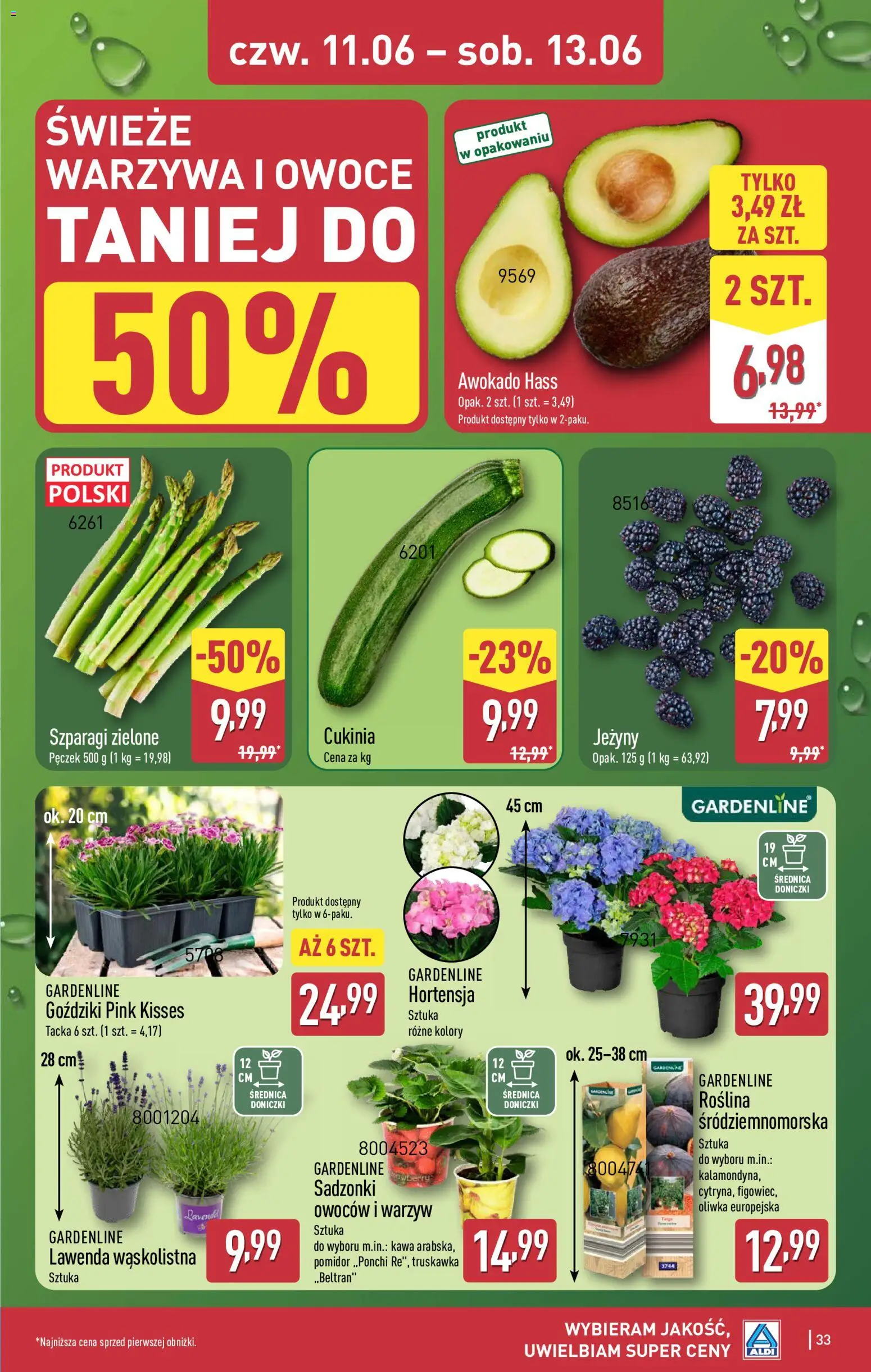 Aldi Polsko leták od 08.06.2026 | Strana: 33