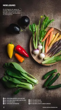 Pré-visualização Makro Especial Frutas e Verduras 2026 válido de 06.03.2026 | Página: 2 | Produtos: Nabos, Pratos, Curgete, Cenoura