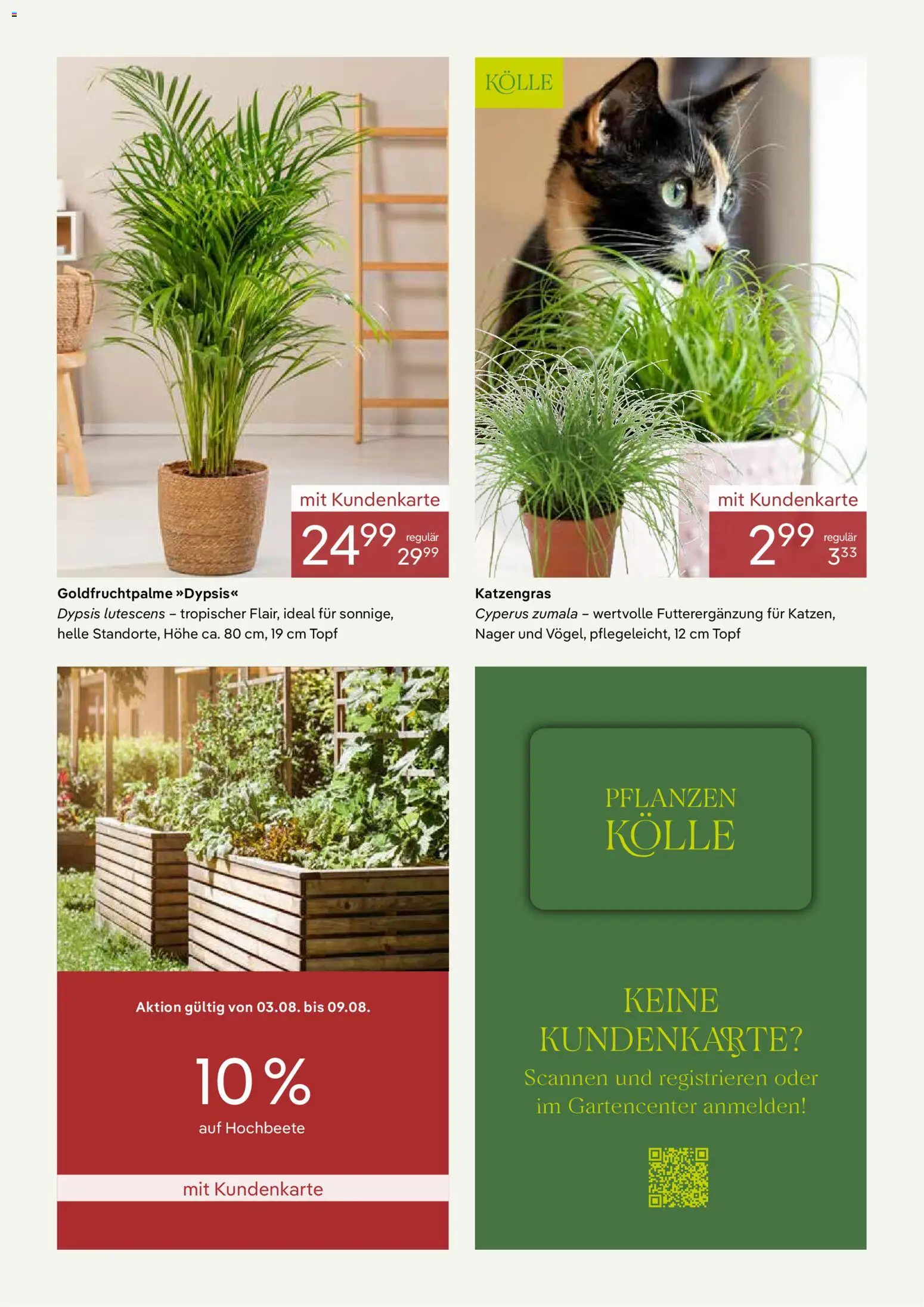 Pflanzen-Kölle Onlineflyer August – gültig ab 01.08.2026 | Seite: 3