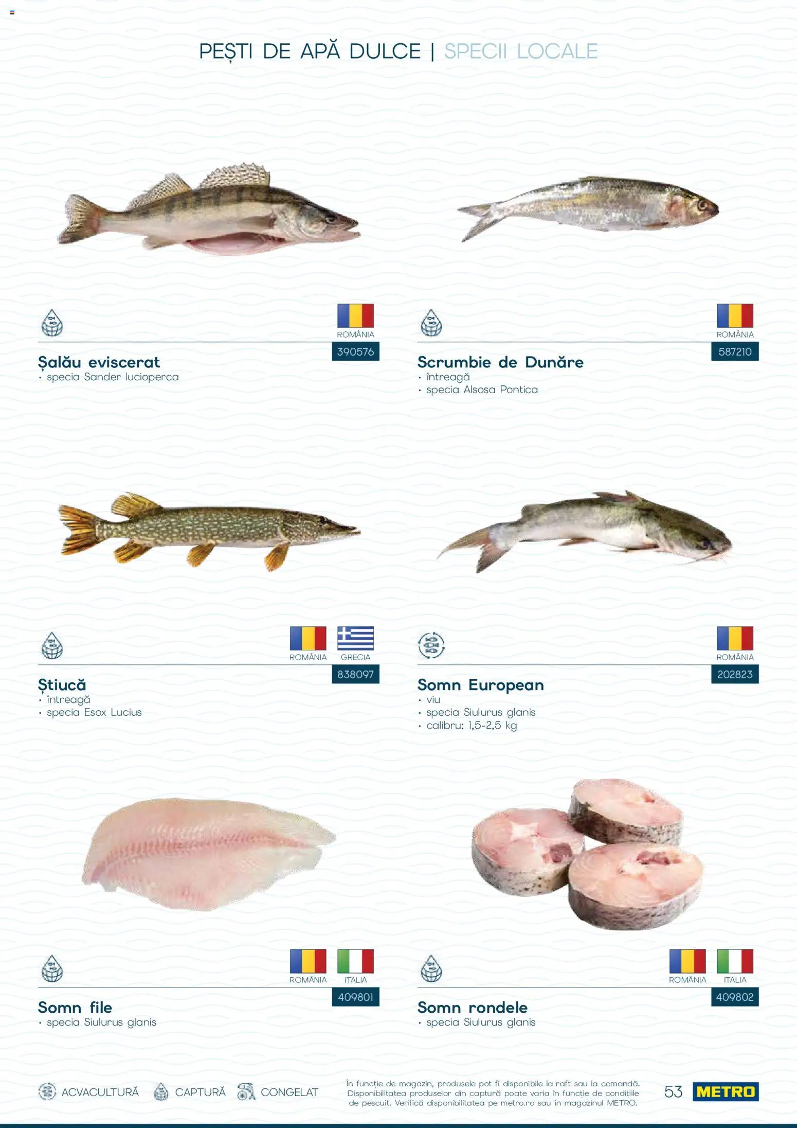 Noul catalog Metro – valabil de la 01.10.2026 | Pagină: 53 | Produse: Raft, Apă