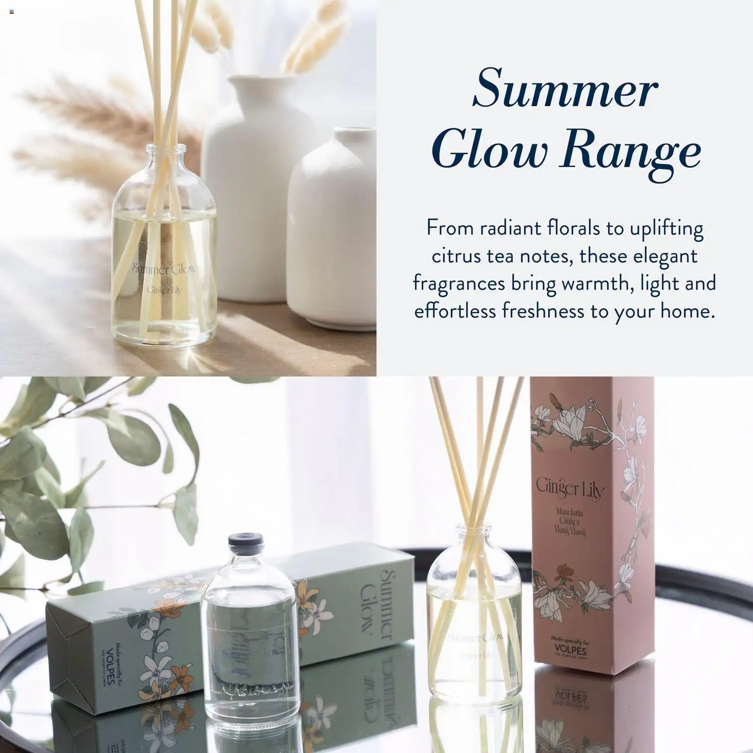 New Volpes catalogue – valid from 13/07/2026 | Page: 4 | Products: Light, Tea